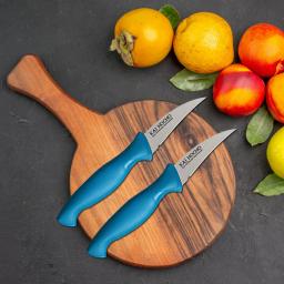 Kai Hocho Vegetable Knife Blue (Pack of 1)