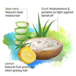 Nyle Naturals Anti Dandruff Shampoo, With Lemon And Curd, Gentle and soft shampoo, PH balanced and Paraben free, For Men and Women,800ml
