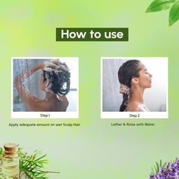 Nyle Natural & Pure Anti Dandruff Shampoo, With Goodness Of Tea Tree Oil & Rosemary Oil, For Men & Women, No Paraben And No Sulphate, 300ml