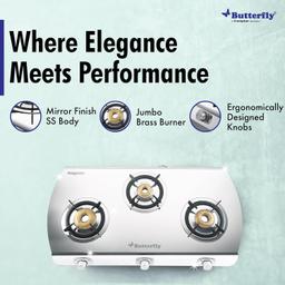 Butterfly Magnum Stainless Steel Lpg Stove, 3B