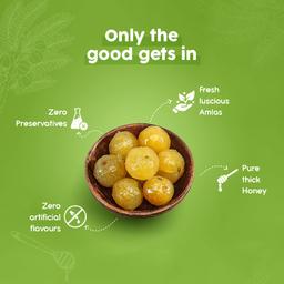 Saaral Amla (Indian Gooseberry) with Pure Honey Family Pack (5 Pcs )
