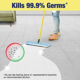 Lizol 5 Litre - Citrus, Disinfectant Surface & Floor Cleaner Liquid | Suitable for All Floor Cleaner Mops | Kills 99.9% Germs| India's #1 Floor Cleaner