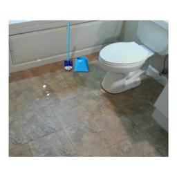 Signoraware Trendy Toilet Brush with Holder (Multicolour)Pack of 1