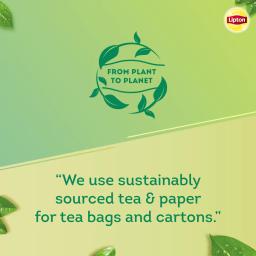 Lipton Clear & Light Green Tea Bags 100 Pcs