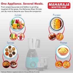 Maharaja Whiteline Neo Plus Mixer Grinder (Turquoise Blue & Black)