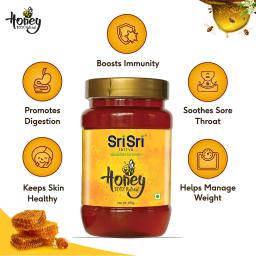 Sri Sri Tattva Honey 100% Natural,(250g)