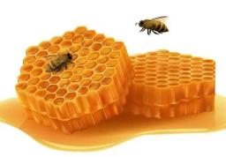 Malnad Pure Honey,500g With Saaral Amla (Indian Gooseberry) with Pure Honey (Pack of 2) Free