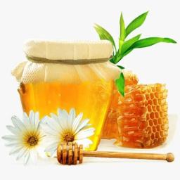 Malnad Pure Honey,500g With Saaral Amla (Indian Gooseberry) with Pure Honey (Pack of 2) Free