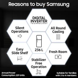 Samsung 236 L, 3 Star, Digital Inverter, Frost Free Double Door Refrigerator (RT28C3053S8/HL, Silver, Elegant Inox, 2024 Model)