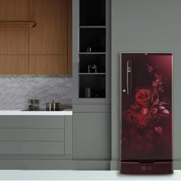 LG 185 L 4 Star Inverter Direct-Cool Single Door Refrigerator (GL-D199OSEY, Scarlet Euphoria, Base stand with drawer)
