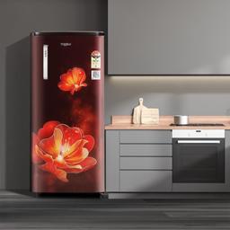 Whirlpool 184 L 4 Star Inverter Direct-Cool Single Door Refrigerator (205 WDE PRM 4S Inv WINE RADIANCE-Z, 2023 Model)
