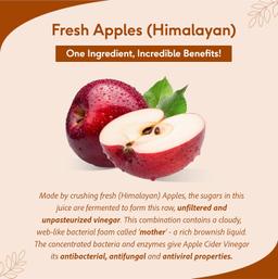 Sri Sri TATTVA shuddhta ka naam Apple Cider 500Ml with Happilo Raw Chia Seeds 250 g